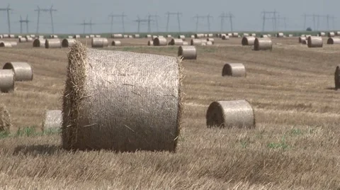 Hay bales in the field Stock Footage 45699164