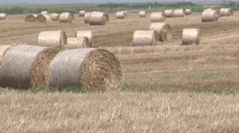 Hay bales in the field Stock Footage 45703128