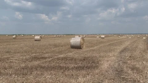 Hay bales in the field Stock Footage 45703343
