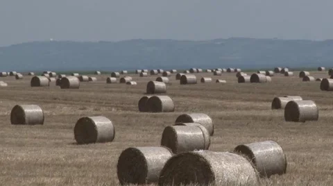 Hay bales in the field Stock Footage 45703481