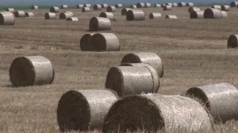 Hay bales in the field Stock Footage 45703528