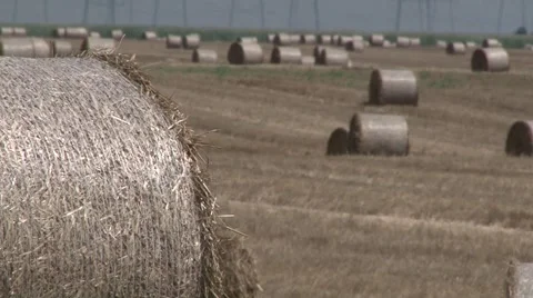 Hay bales in the field Видео 45703539