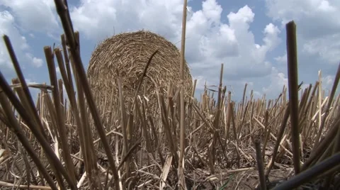 Hay bales in the field Vidéo 45703577