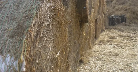 Hay Bales on the Field Stock Footage 50673926