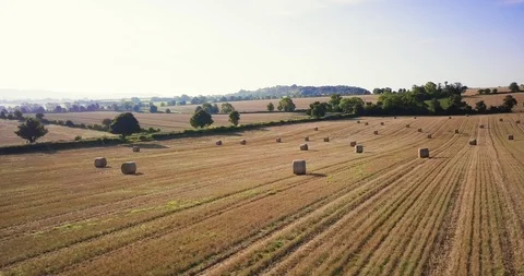 Hay bales in field Stock Footage 91458342