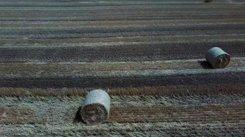 Hay bales on the field Video stock 137256902