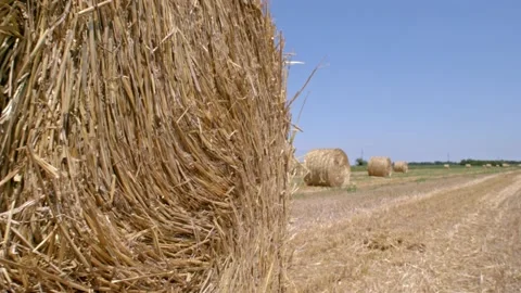 Hay bales in the field Stock Footage 171557171