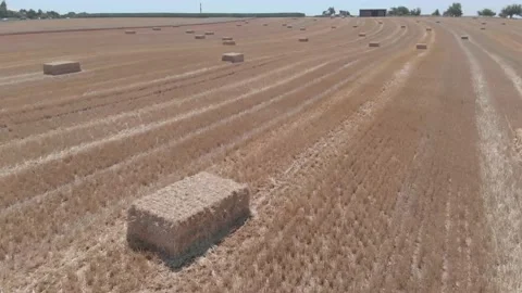 Hay bales in field Stock Footage 201628172