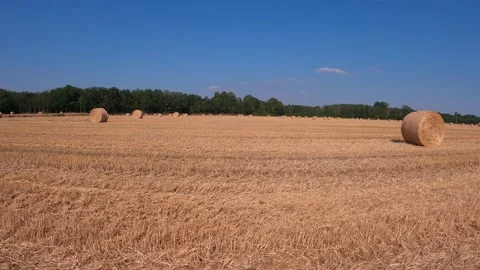 Hay bales in the field Stock Footage 201676690