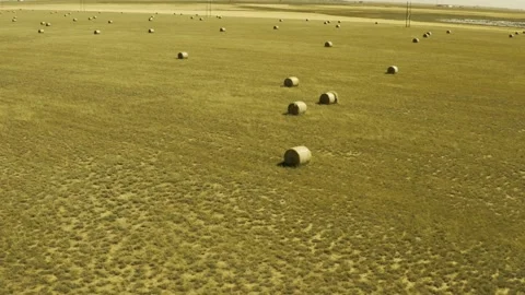 Hay Bales in Field Stock Footage 251913503