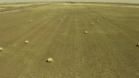 Hay Bales in Field Stock Footage 251913533