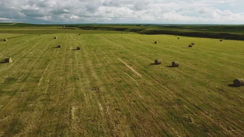 Hay Bales in Field Video stock 292020207