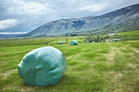 Hay bales in a field Stock Photos