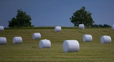 Hay bales in field 库存照片