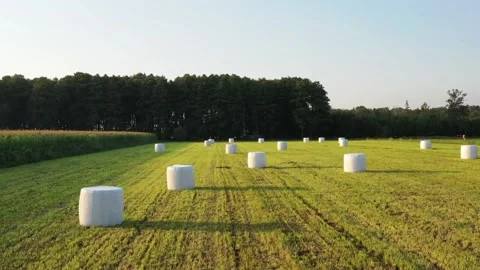 Hay bales flying drone view Stock Footage 220297268