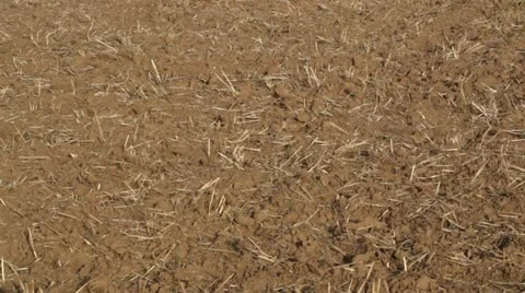 Hay bales Stock-Footage 11723904