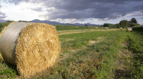 Hay bales 스톡 동영상 33345823
