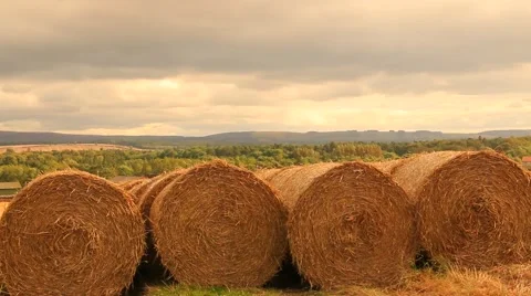 Hay Bales Stock Footage 41639191
