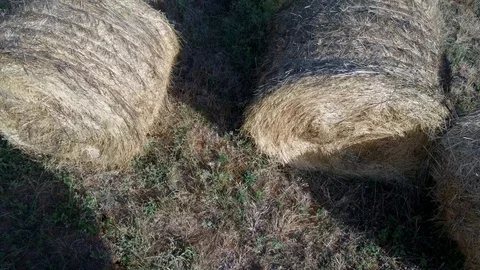 Hay bales Stock Footage 113445871