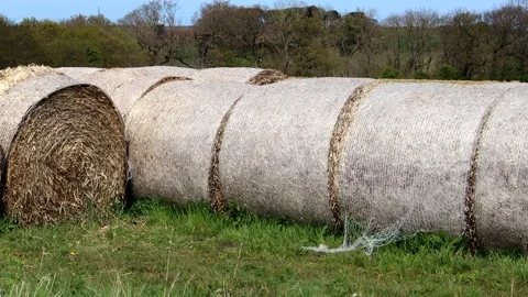 Hay Bales Video stock 153927410