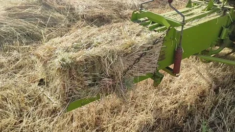 Hay bales Stock Footage 164583537