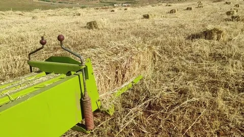 Hay bales Stock Footage 164614678