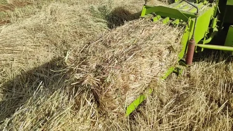 Hay bales Stock Footage 164618674