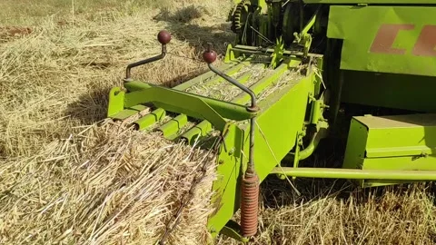 Hay bales Stock Footage 164622788
