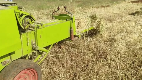 Hay bales Stock Footage 165068155