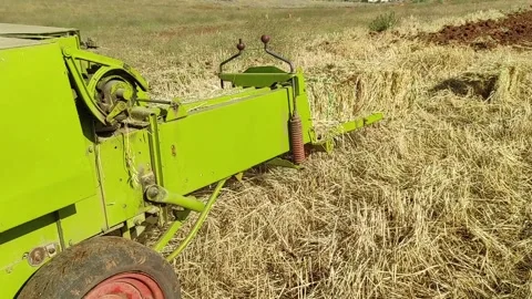 Hay bales Stock Footage 165080143
