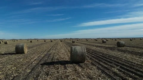 Hay Bales Stock Footage 247807906