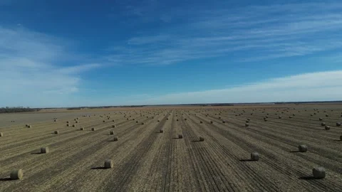 Hay Bales Stock Footage 247807950