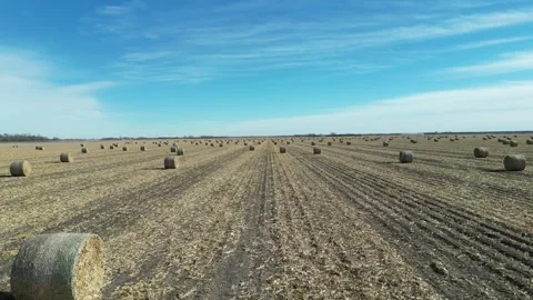 Hay Bales Stock Footage 247808035