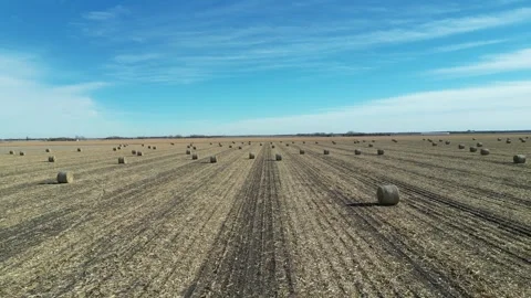 Hay Bales Stock Footage 247808071