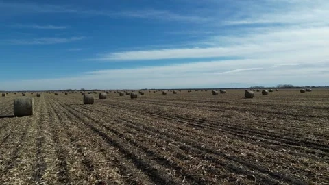 Hay Bales Stock Footage 247808253