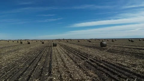 Hay Bales Stock Footage 247808547