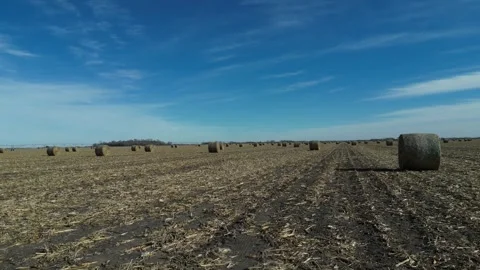Hay Bales Stock Footage 247808831