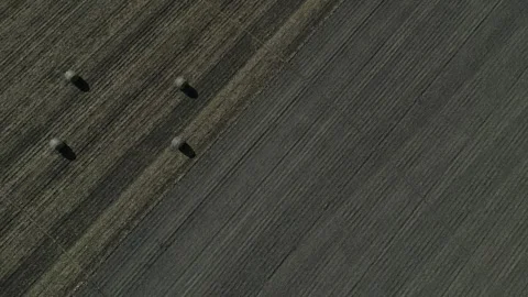 Hay Bales 스톡 동영상 247809859