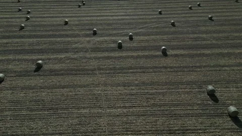 Hay Bales Stock Footage 247809872