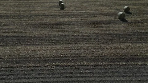 Hay Bales Stock Footage 247809905