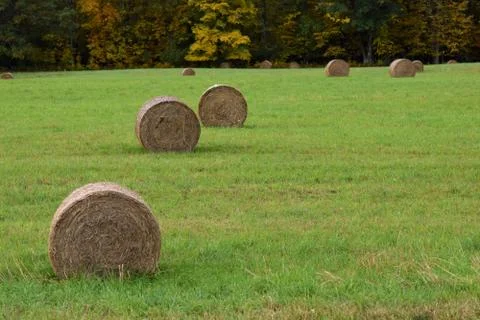 Hay Bales in a Green Field Stock Photos