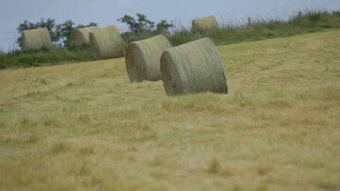 Hay Bales on a Meadow 스톡 동영상 118832659