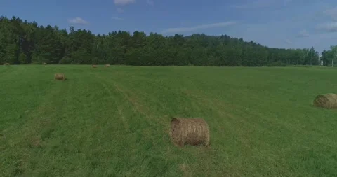 Hay bales in meadow Stock Footage 135970033