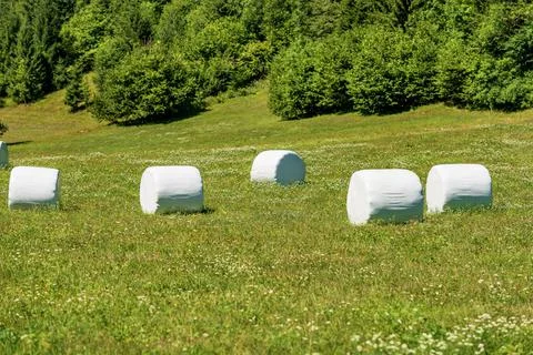 Hay Bales Packed with White Plastic - Triglav National Park Slovenia Stock Photos