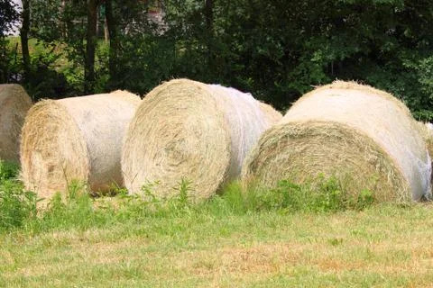 Hay bales Stock Photos