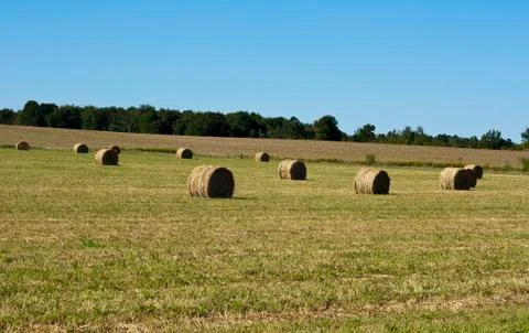 Hay bales Photos