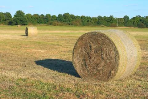 Hay bales Stock Photos