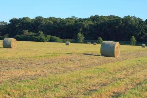 Hay bales Stock Photos