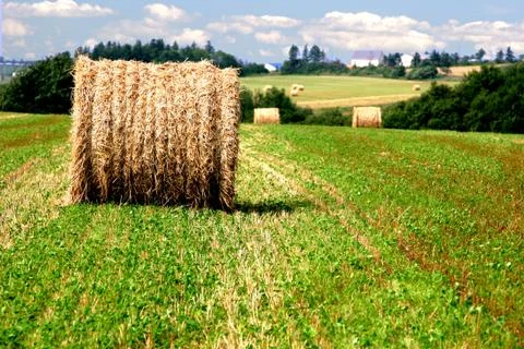 Hay bales Stock Photos