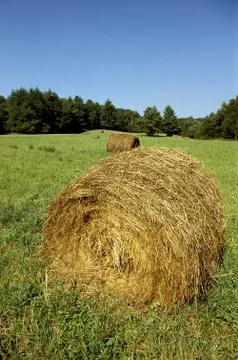 Hay bales 스톡 사진
